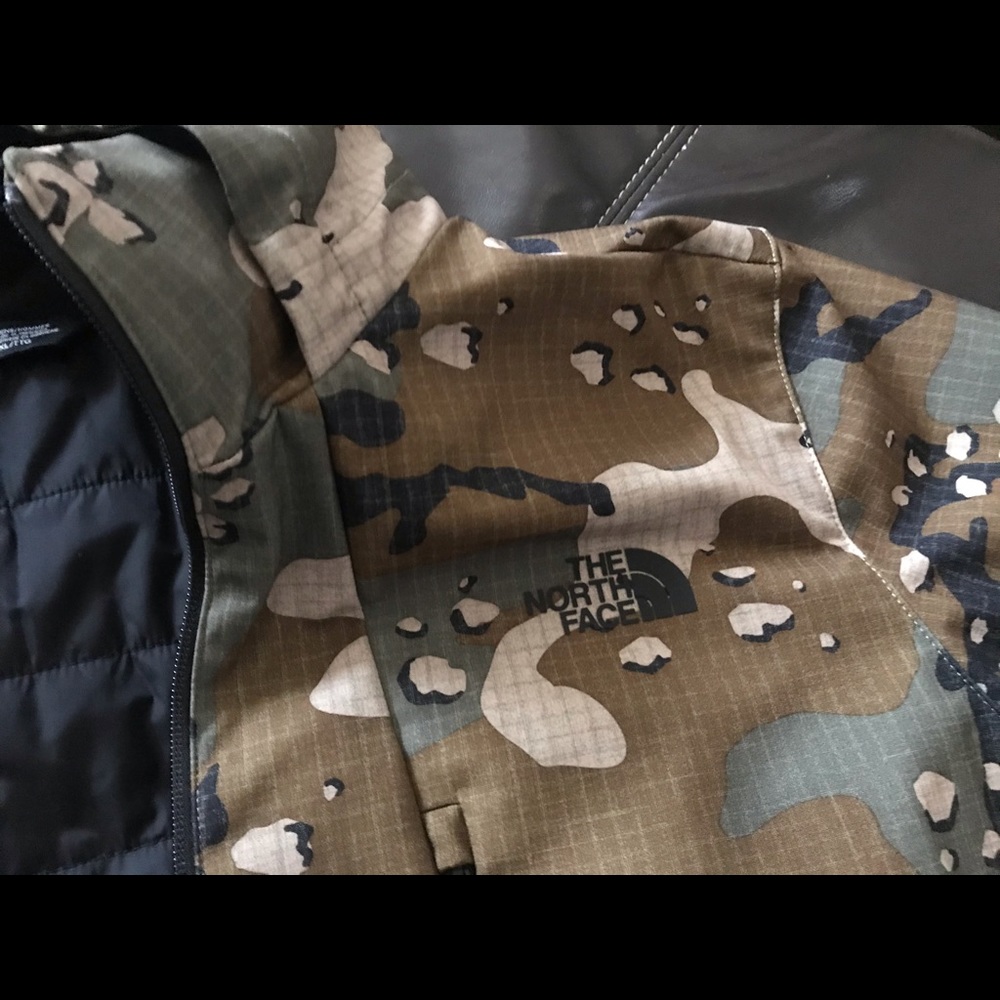 Northface winter water proof jacket